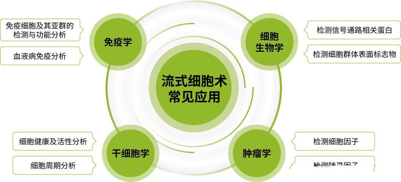 广东生物科技：创新引领未来