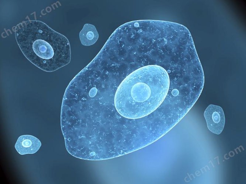 生物科技公司：探索未来医疗的关键力量