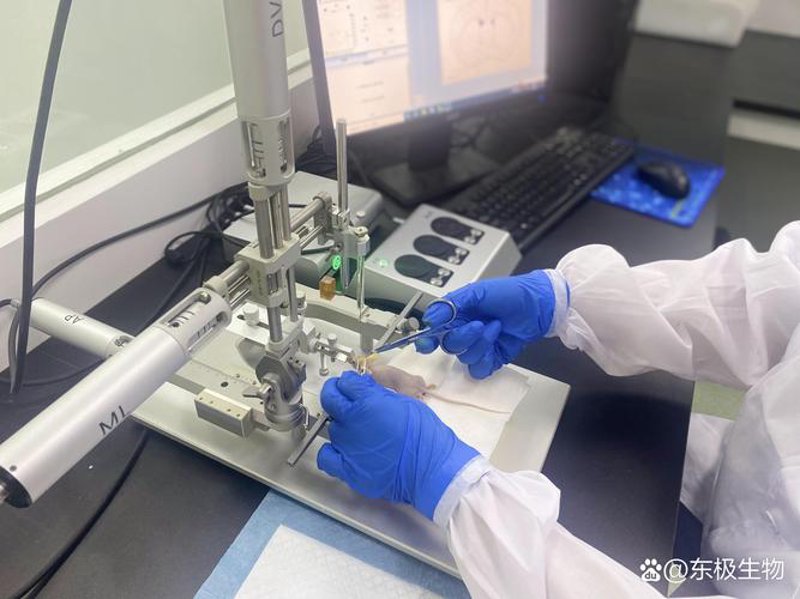 细胞生物科技：未来的希望与挑战
