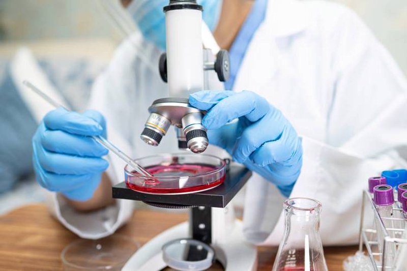 新细胞技术：开启生命科学的新纪元