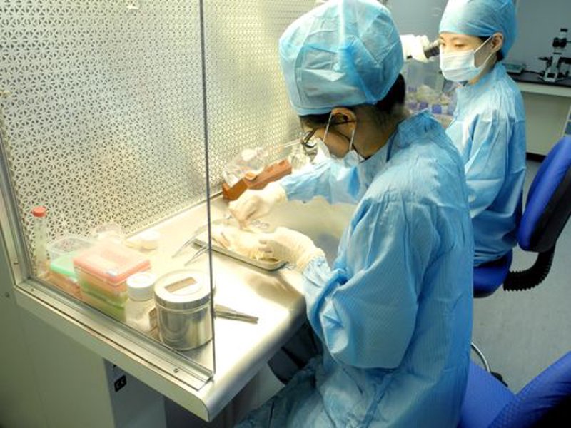 生物科技：探索未来的生命科学